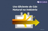 Slide1/21 Uso Eficiente de Gás Natural na Indústria.