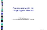 CIn/UFPE Processamento de Linguagem Natural Flávia Barros Centro de Informática - UFPE.