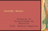 Arundo donax Pesquisa na Universidade de Brasília Prof. Ebnezer Nogueira.