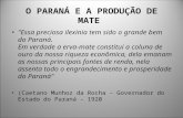 O PARANÁ E A PRODUÇÃO DE MATE " Essa preciosa ilexinia tem sido o grande bem do Paraná. Em verdade a erva-mate constitui a coluna de ouro da nossa riqueza.
