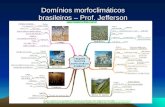Domínios morfoclimáticos brasileiros – Prof. Jefferson.