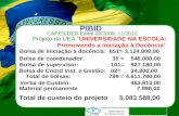 PIBID CAPES/DEB Edital 02/2009; 11/2012 Projeto da UEA “UNIVERSIDADE NA ESCOLA: Promovendo a Iniciação à Docência” Total de bolsas: 789 = 4.611.780,00.