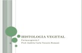 H ISTOLOGIA VEGETAL Farmacognosia I Prof. Andréa Carla Tavares Romani.