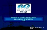 REUNIÃO DO CONSELHO ESTADUAL DE POLÍTICA ENERGÉTICA - CEPE - Maceió, 18 de Março de 2008.