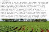 A Agricultura A Agricultura é uma das principais atividades da Argentina e também é um dos pilares da economia do país. A argentina possui um extenso território.