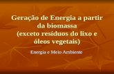 Geração de Energia a partir da biomassa (exceto resíduos do lixo e óleos vegetais) Energia e Meio Ambiente.