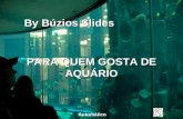 PARA QUEM GOSTA DE AQUÁRIO By Búzios Slides Automático.