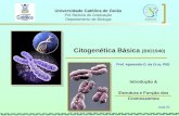 Universidade Católica de Goiás Pró-Reitoria de Graduação Departamento de Biologia Citogenética Básica (BIO1940) Prof. Aparecido D. da Cruz, PhD Introdução.