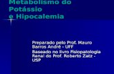 Metabolismo do Potássio e Hipocalemia Preparado pelo Prof. Mauro Barros André - UFF Baseado no livro Fisiopatologia Renal do Prof. Roberto Zatz - USP.