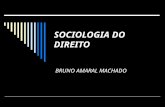 SOCIOLOGIA DO DIREITO BRUNO AMARAL MACHADO. 1 º ENCONTRO  - OBJETO  1. A pesquisa dogmática e a pesquisa sócio- jurídica: tradições.  2. Objeto de.