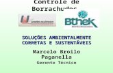 Controle de Borrachudos Marcelo Broilo Paganella Gerente Técnico SOLUÇÕES AMBIENTALMENTE CORRETAS E SUSTENTÁVEIS.