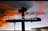 A agonia de JESUS. Por Dr. Barbet, médico francês. Colaboração: Pastor Celso Augusto Saraiva.