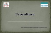 Urocultura. blog do professor: .