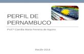 PERFIL DE PERNAMBUCO Prof.ª Camilla Maria Ferreira de Aquino Recife-2014.