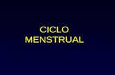 CICLO MENSTRUAL. Conceitos Menarca – 1a menstruação Menacme – Fase reprodutiva da mulher (+/- 37 anos) Menopausa – Última menstruação Menstruação – Sangramento.