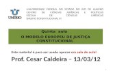 UNIVERSIDADE FEDERAL DO ESTADO DO RIO DE JANEIRO CENTRO DE CIÊNCIAS JURÍDICAS E POLÍTICAS ESCOLA DE CIÊNCIAS JURÍDICAS DIREITO CONSTITUCIONAL III Quinta.