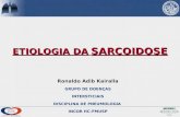 Ronaldo Adib Kairalla GRUPO DE DOENÇAS INTERSTICIAIS DISCIPLINA DE PNEUMOLOGIA INCOR HC-FMUSP ETIOLOGIA DA SARCOIDOSE.
