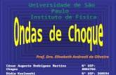 Universidade de São Paulo Instituto de Física Prof. Dra. Elisabeth Andreoli de Oliveira César Augusto Rodrigues Martins ChagasNº USP: 8084704 Didio KozlowskiNº.