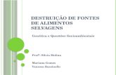 D ESTRUIÇÃO DE FONTES DE ALIMENTOS SELVAGENS Genética e Questões Socioambientais Profª: Silvia Molina Mariana Gomes Vanessa Bassinello.