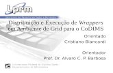 Distribuição e Execução de Wrappers em Ambiente de Grid para o CoDIMS Orientado Cristiano Biancardi Orientador Prof. Dr. Alvaro C. P. Barbosa.