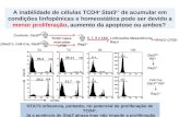 A inabilidade de células TCD4 + Stat3 -/- de acumular em condições linfopênicas e homeostática pode ser devido a menor proliferação, aumento da apoptose.