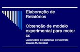 Elaboração de Relatórios Obtenção de modelo experimental para motor cc Laboratório de Sistemas de Controle Glaucia M. Bressan.