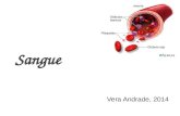 Sangue Vera Andrade, 2014. Sangue Tecido conjuntivo líquido, circula pelo sistema cardiovascular Produzido na medula óssea, volume total de 5,5 litros.
