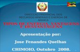 TIPOS DE ENERGIA, VANTAGENS E DESVANTAGENS Apresentação por: Jose Fenandes Quelhas CHIMOIO, Outubro 2008. 1 DIRECCAO PROVINCIAL DOS RECURSOS MINERAIS E.