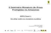 Ministério do Meio Ambiente Governos Estaduais da Amazônia Brasileira: Acre, Amazonas, Amapá, Mato Grosso, Pará, Rondônia e Tocantins II Seminário Mosaicos.