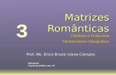 Prof. Ms. Érico Bruno Viana Campos 3 Bibliografia Figueiredo (1995a): caps. 8-9 Vitalista e Naturista Vitalista e Naturista Historicismo Idiográfico Historicismo.