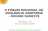 VIGILÂNCIA SANITÁRIA MUNICIPAL BELO HORIZONTE II FÓRUM REGIONAL DE VIGILÂNCIA SANITÁRIA – REGIÃO SUDESTE SÃO PAULO – SP 09 a 11 de abril de 2007.