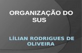 ORGANIZAÇÃO DO SUS. (...) Uma nova formulação política e organizacional para o re-ordenamento dos serviços e ações de saúde no Brasil.