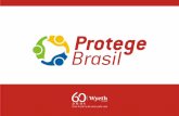 Objetivo Geral Coleta dos dados Levantar entre os brasileiros suas percepções sobre vacinação e doenças pneumocócicas Entrevistas pessoais nos domicílios.