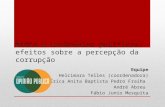 Mídia e escândalos políticos: efeitos sobre a percepção da corrupção Equipe Helcimara Telles (coordenadora) Érica Anita Baptista Pedro Fraiha André Abreu.
