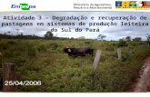 Atividade 3 – Degradação e recuperação de pastagens em sistemas de produção leiteira do Sul do Pará.
