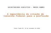 SECRETARIADO EXECUTIVO – NOVOS RUMOS A importância da criação do Conselho Federal para a profissão Passo Fundo-RS, 19 de novembro de 2010.
