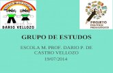 GRUPO DE ESTUDOS ESCOLA M. PROF. DARIO P. DE CASTRO VELLOZO 19/07/2014.