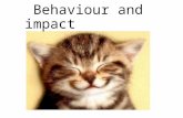 Behaviour and impact on brain. Sumario A.As diferentes partes do cérebro tem relações com racionamentos e emoções. B.Há 4 posturas principais C.Como.