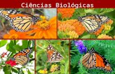 Ciências Biológicas É a ciência que estuda todas as formas de vida, passando pela flora, pela fauna e até pelo desenvolvimento humano. O biólogo pesquisa.