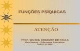 FUNÇÕES PSÍQUICAS PROF. WILSON KRAEMER DE PAULA Livre Docente – Enfermagem Psiquiátrica COREN SC 6925 ATENÇÃO.