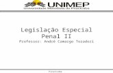 Legislação Especial Penal II Professor: André Camargo Tozadori Piracicaba.