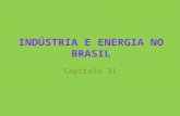Capítulo 31. Processo concentrado na região Sudeste; 1990 – Intensificação do processo de desconcentração industrial em direção ao interior paulista e.