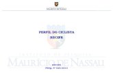 PERFIL DO CICLISTA RECIFE RECIFE PESQ. Nº 029/2013.
