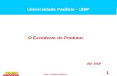 Prof. Claudio Ditticio 1 O Excedente do Produtor. Abr 2009 Universidade Paulista - UNIP.