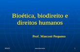 Bioética, biodireito e direitos humanos Prof. Marconi Pequeno Prof. Marconi Pequeno 12/4/2015  1.