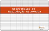 Estratégias de Reprodução Assexuada Prof. Ana Rita Rainho.
