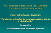 XIX Encontro Nacional de CONPEDI Fortaleza, 9-12 de junho de 2010 Painel sobre Direito e Sociologia “Tendências e desafios da sociologia jurídica: direito.