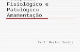 Puerpério Fisiológico e Patológico Amamentação Prof. Marlon Santos.