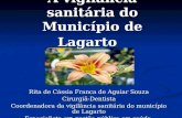 A vigilância sanitária do Município de Lagarto Rita de Cássia Franca de Aguiar Souza Cirurgiã-Dentista Coordenadora da vigilância sanitária do município.