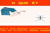 O QUE É? A Dengue é uma doença transmitida pela picada do mosquito Aedes aegypti.